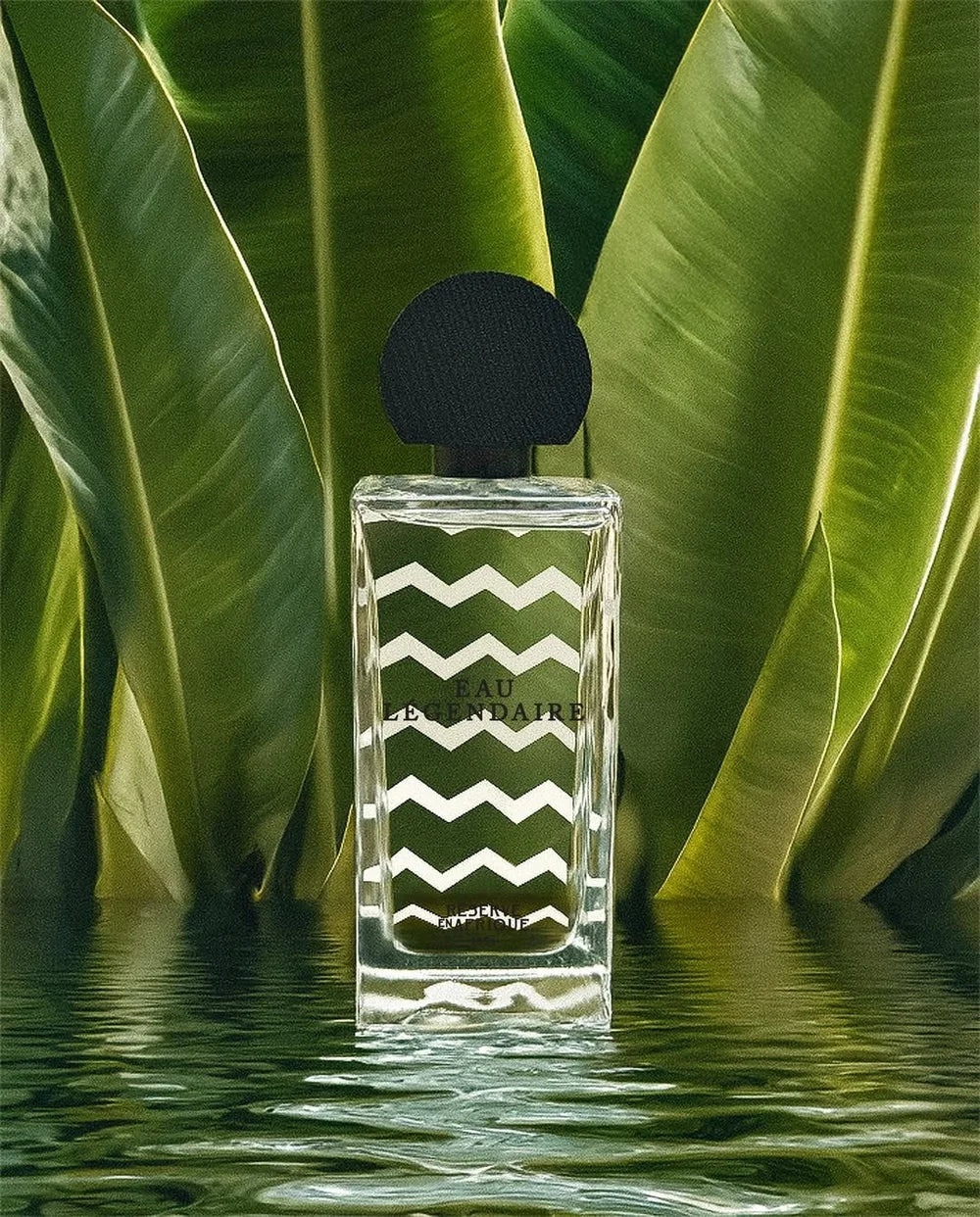 Réserve en Afrique 1934 - Eau Légendaire