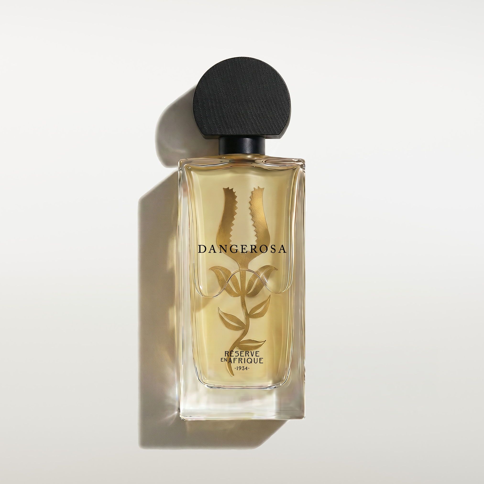 Reserve in Africa 1934 - Dangerosa