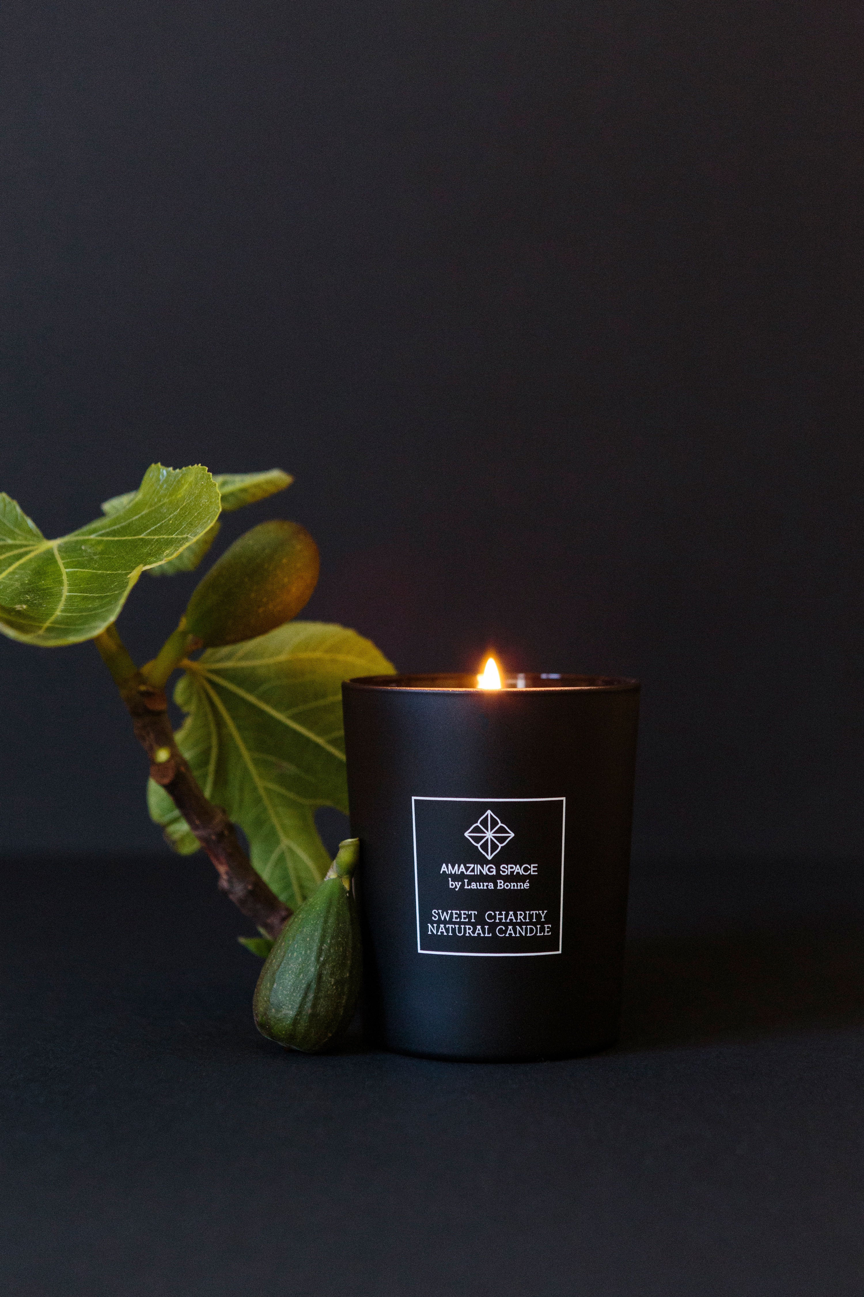 Amazing Space - Ficus Candle Boost Your Confidence